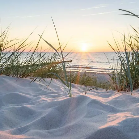 Апартаменты White Pearl 2.16 *