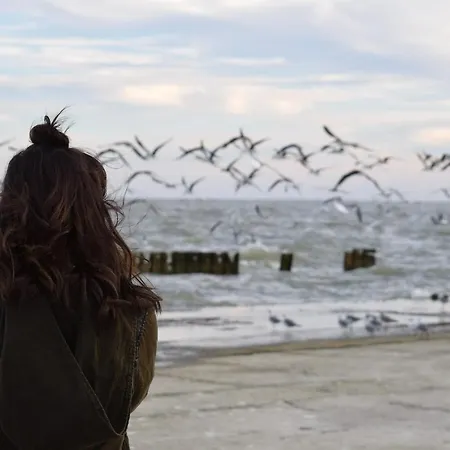 White Pearl 2.16 Апартаменты